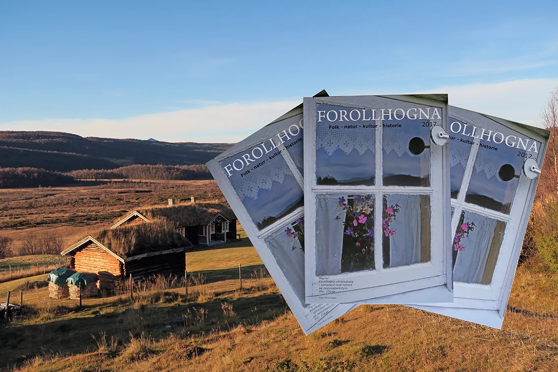 "Forollhogna 2017" har kommet fra trykkeriet og legges nå ut for salg i samtlige Hogna-kommuner. Illustrasjonsfoto: Arne Nyaas