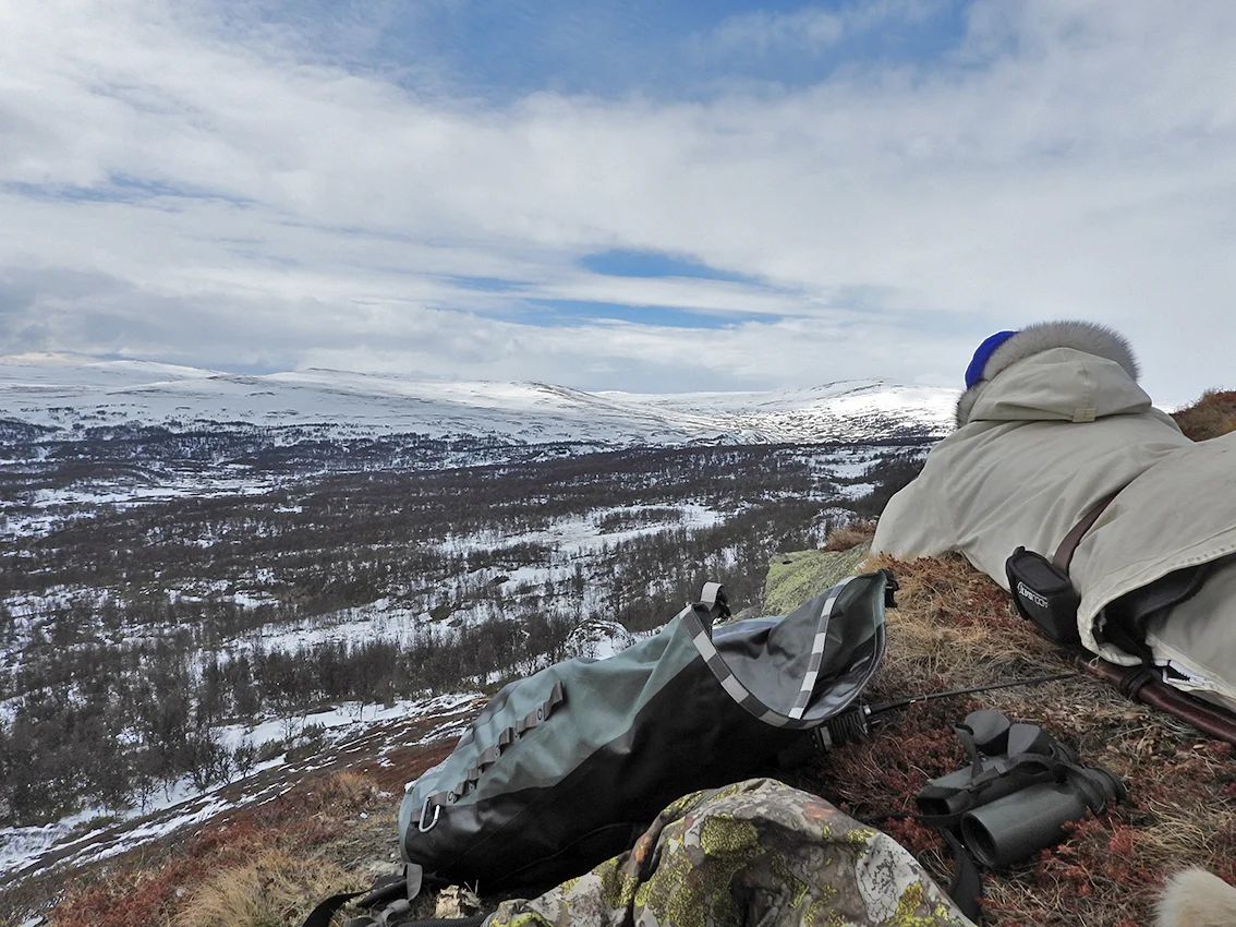 Forsøk på telling i Bratthødalen. Noe utfordrende i skogsterreng.