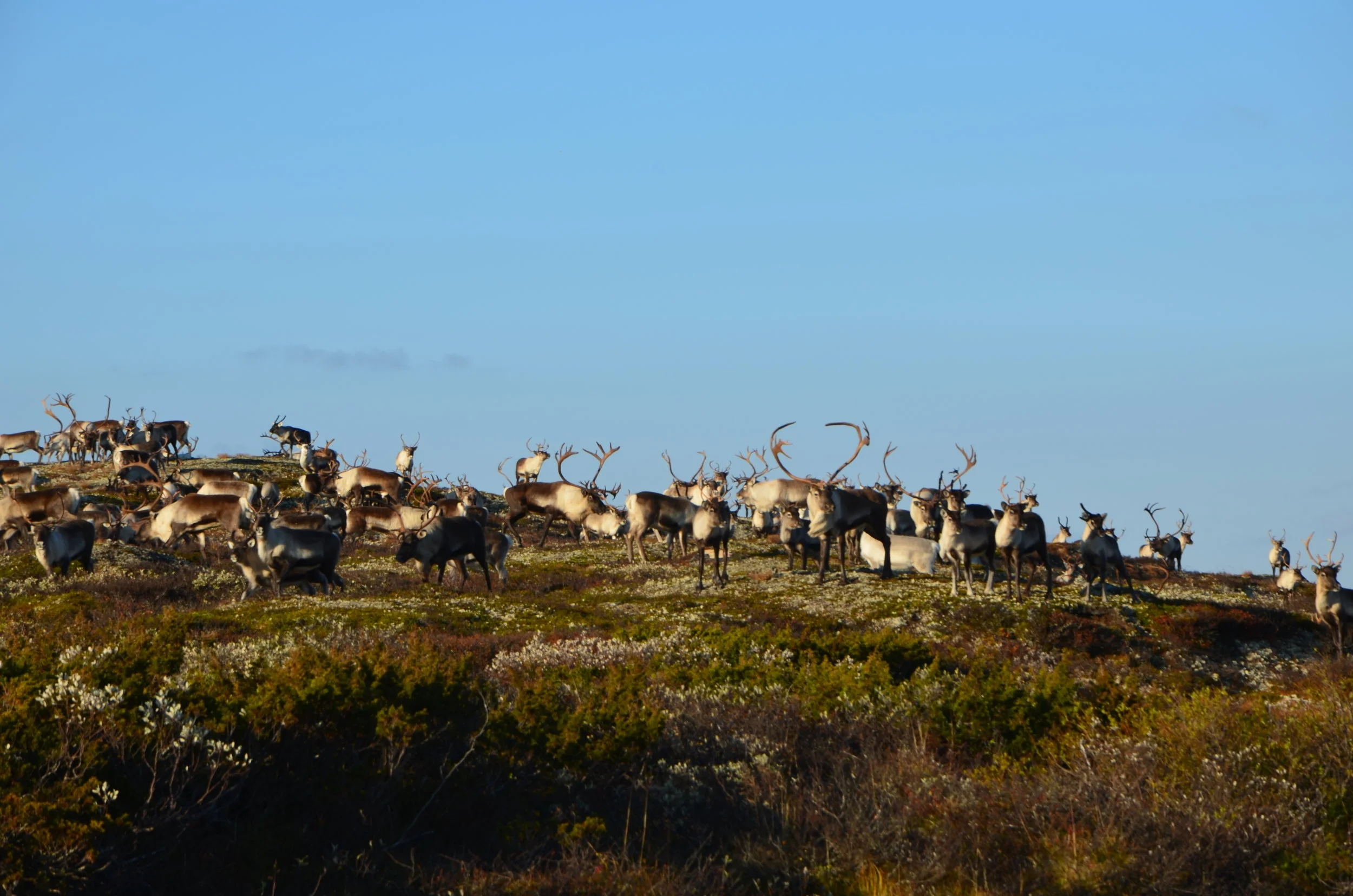 DSC_0521.jpg