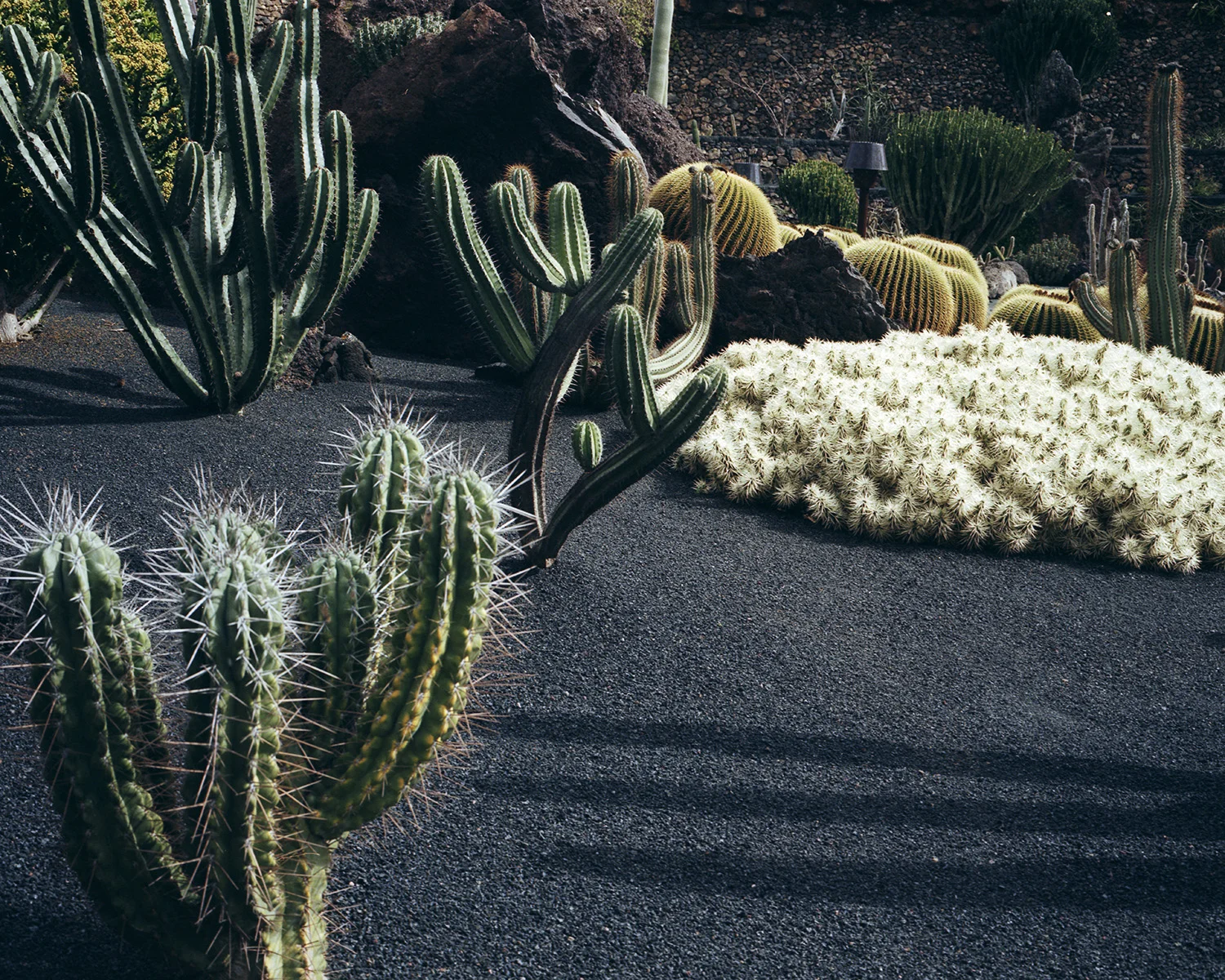 _Lanzarote