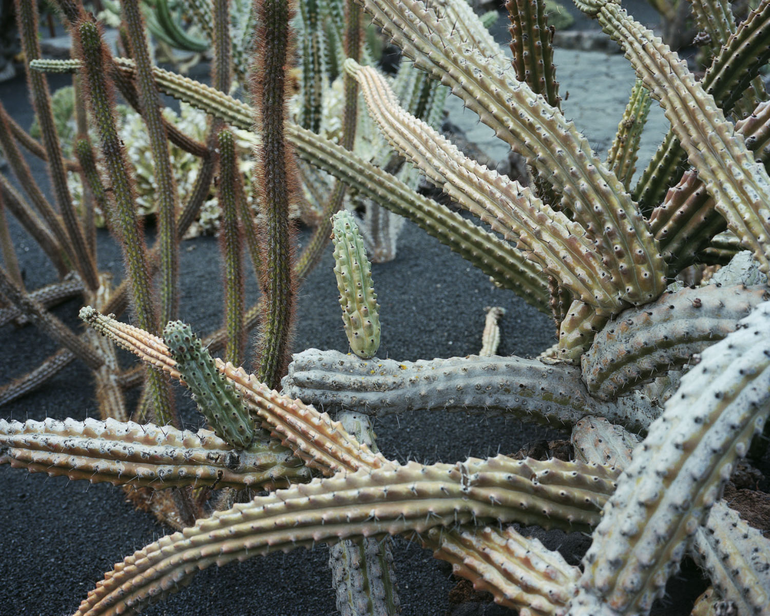 _Lanzarote