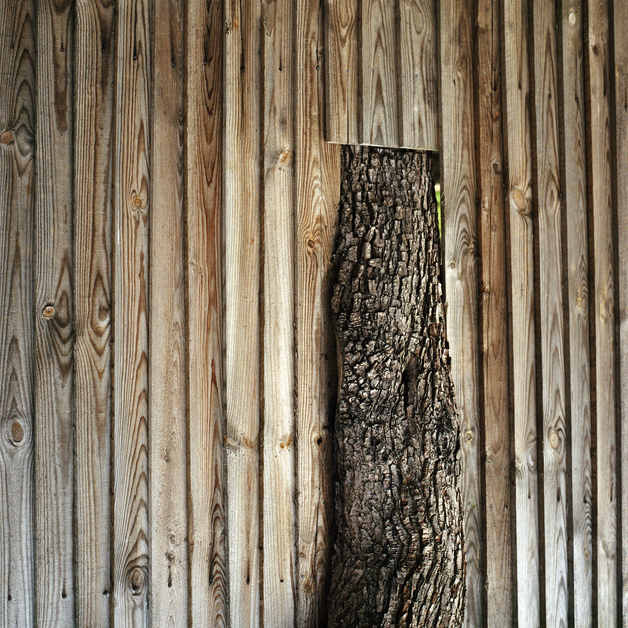 Garden_Project_5615-S1-0010.jpg