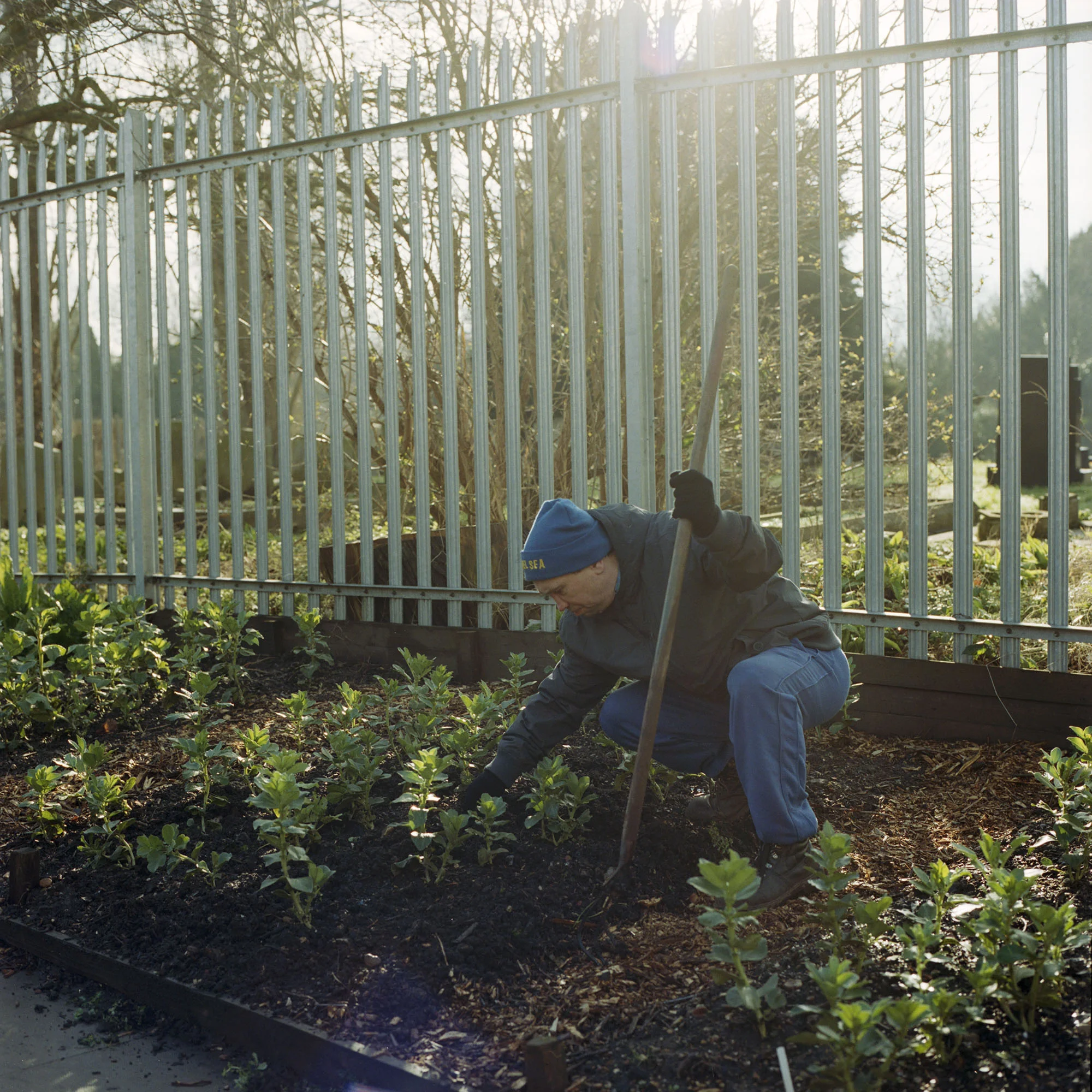 Garden_Project_5617-S1-0001.jpg