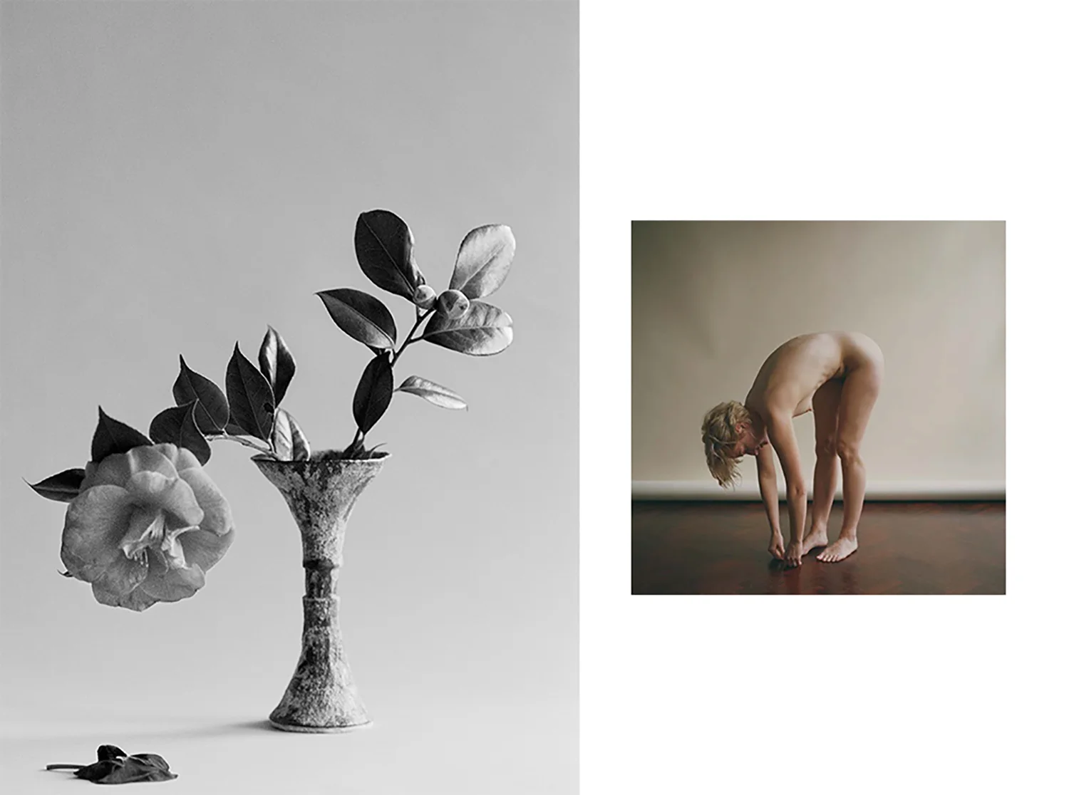 _Pleasure Garden Issue 02