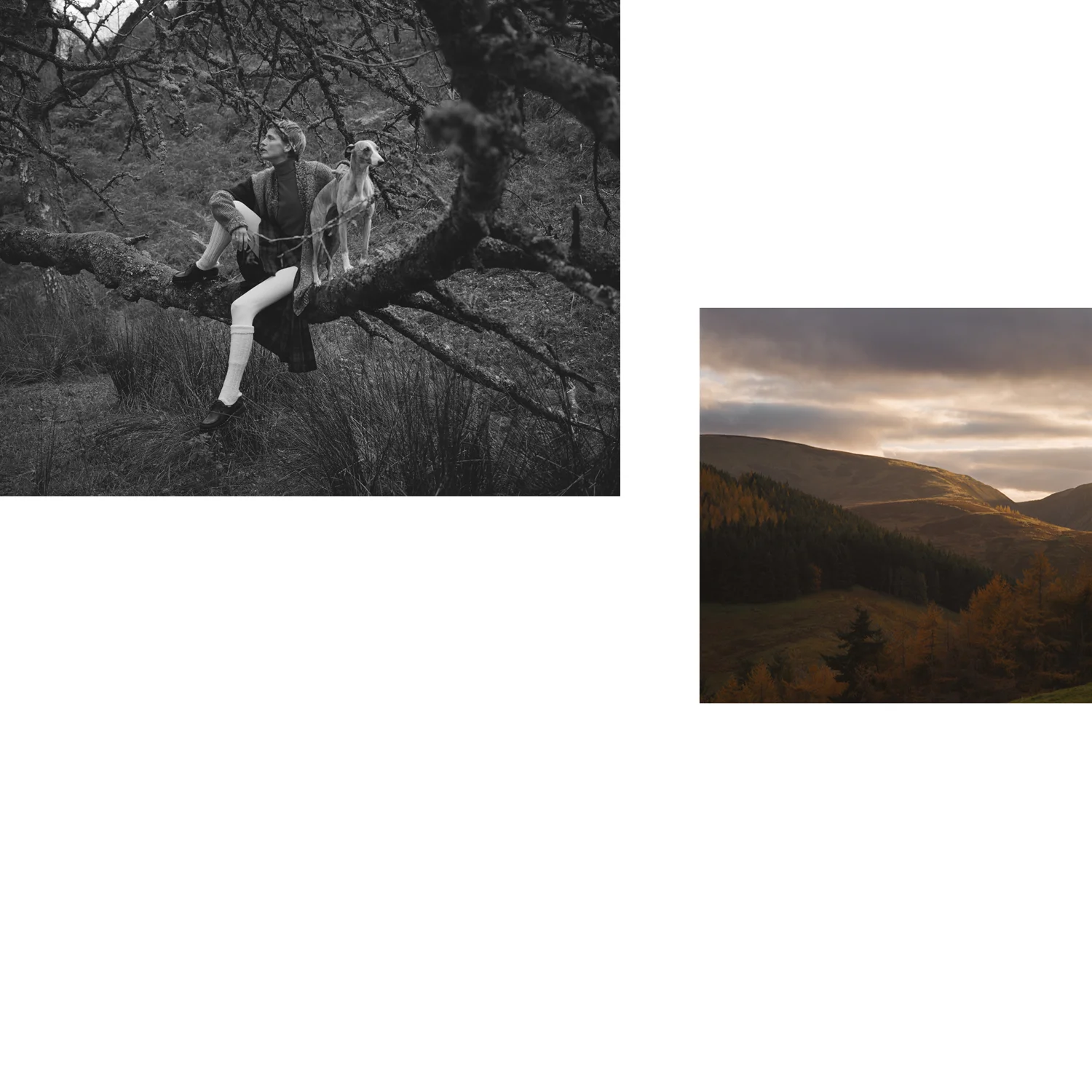 JMS_GQ_WebLayout_06.jpg