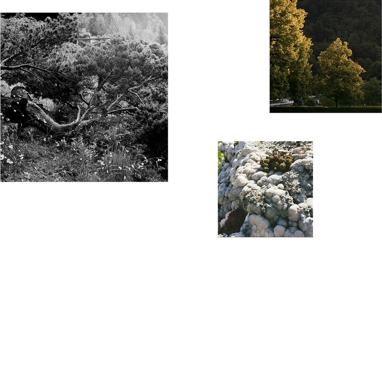 JMS_PG01_WEB_09.jpg