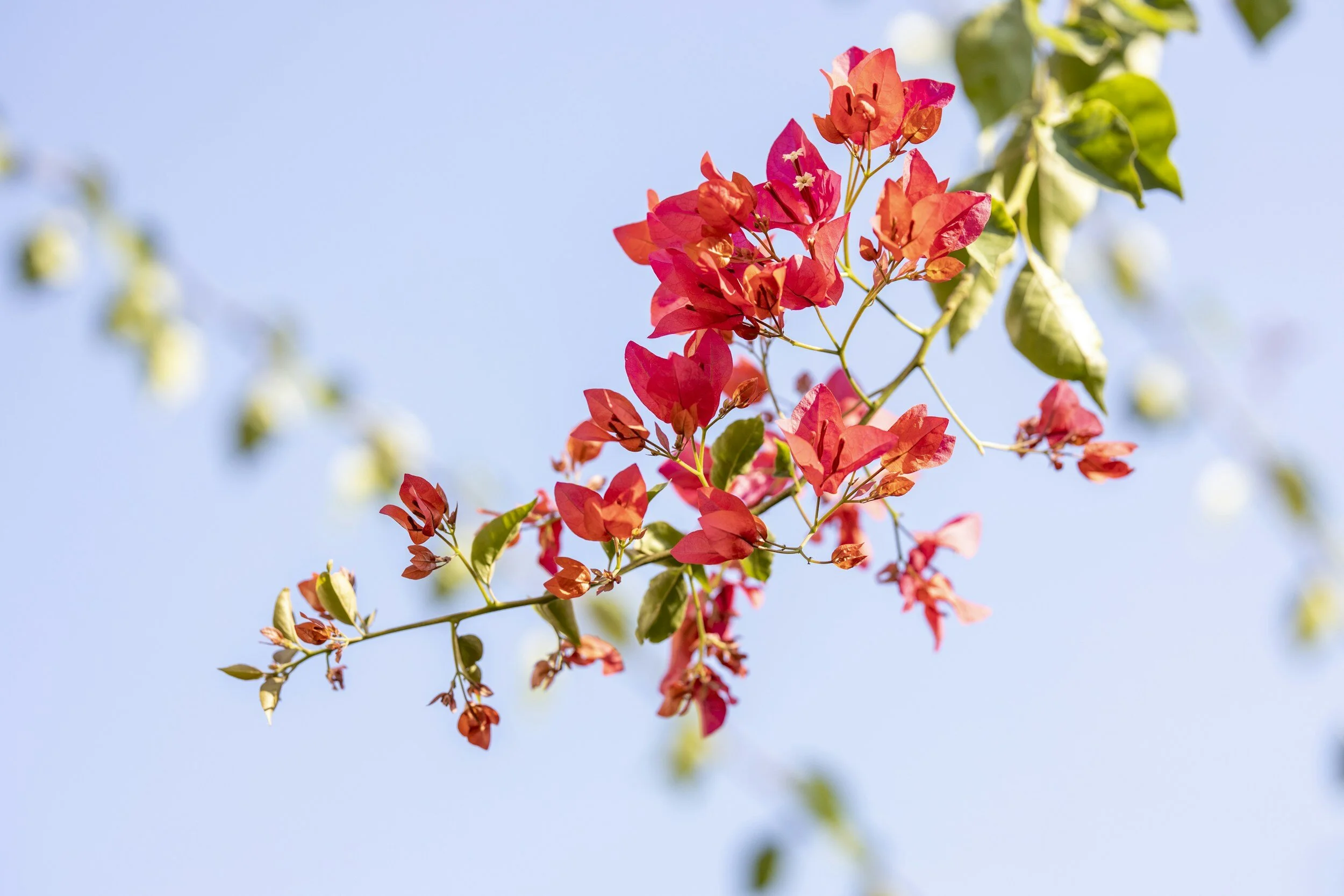 New Mortgage Protection Practices for Cancer Survivors