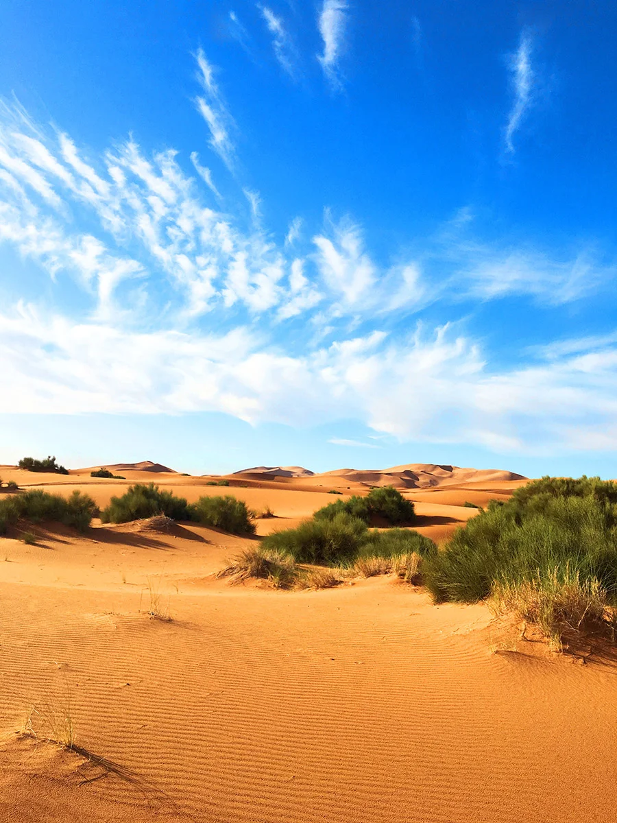 Searching for Patterns in Morocco | shannonmcnab.com