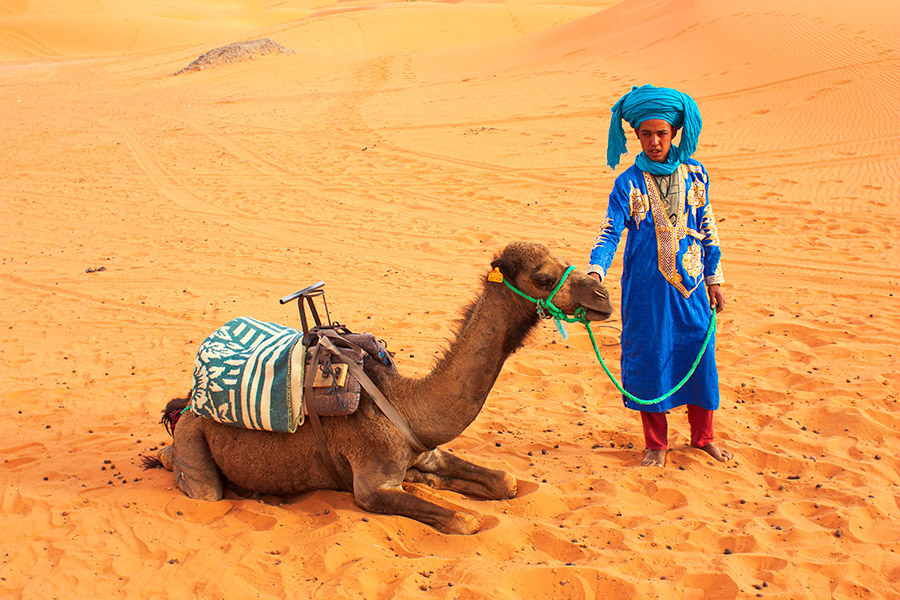 Searching for Patterns in Morocco | shannonmcnab.com