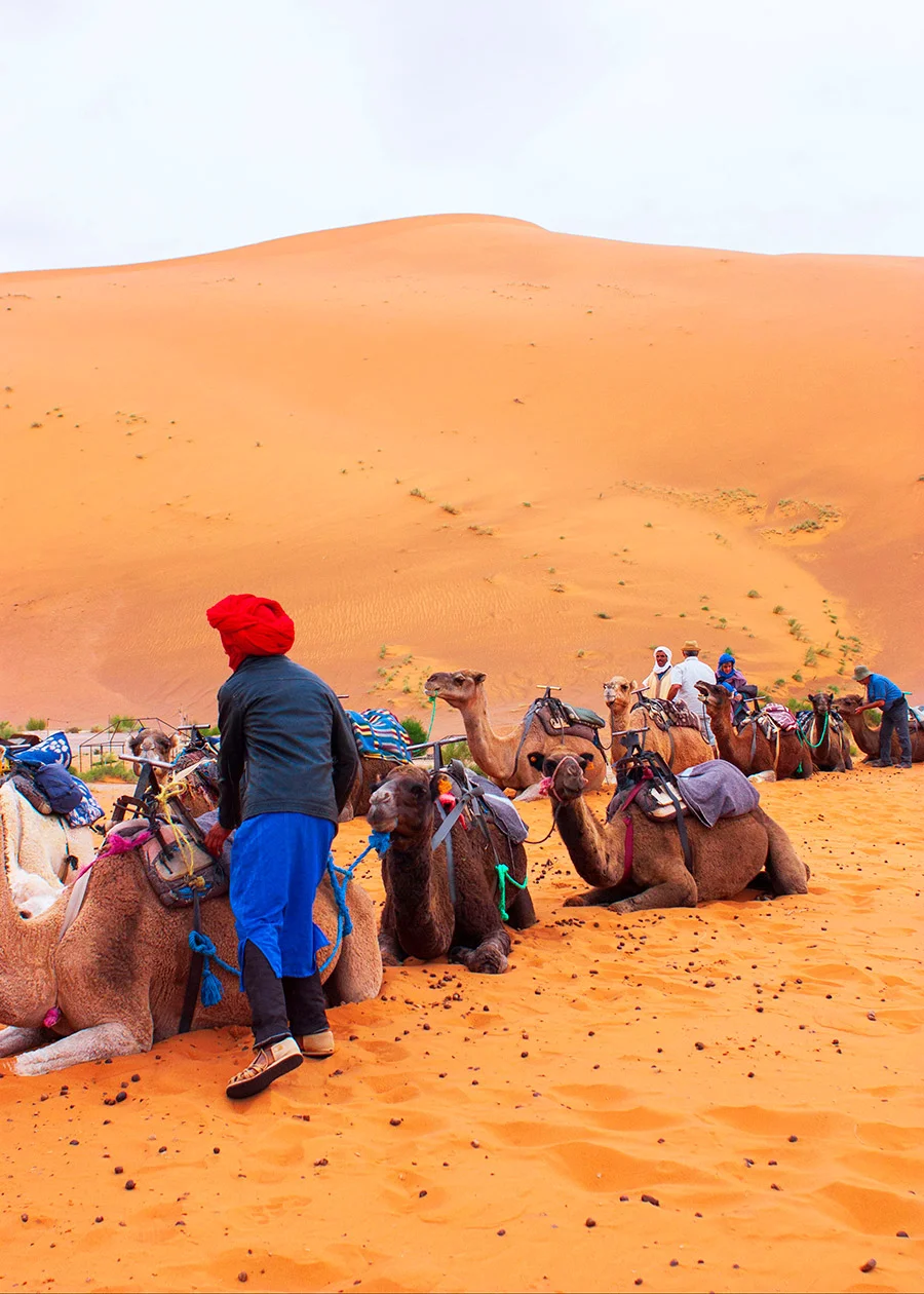 Searching for Patterns in Morocco | shannonmcnab.com
