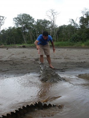 hugecroc.jpeg