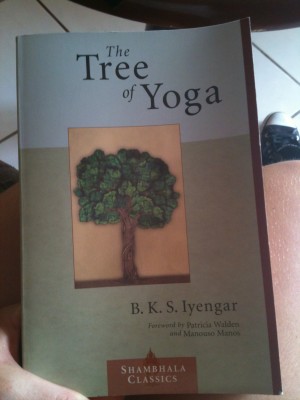 treeoyoga.jpeg