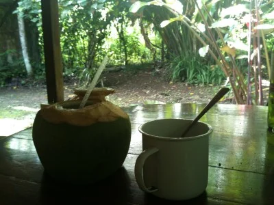 brunch
