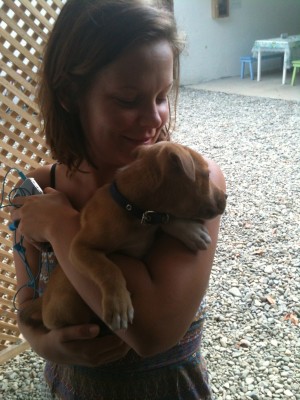 puppies!