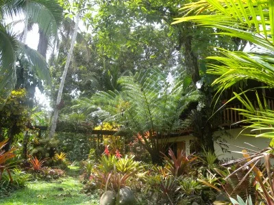 the landlord's garden