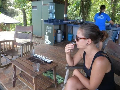 Chocolate tasting