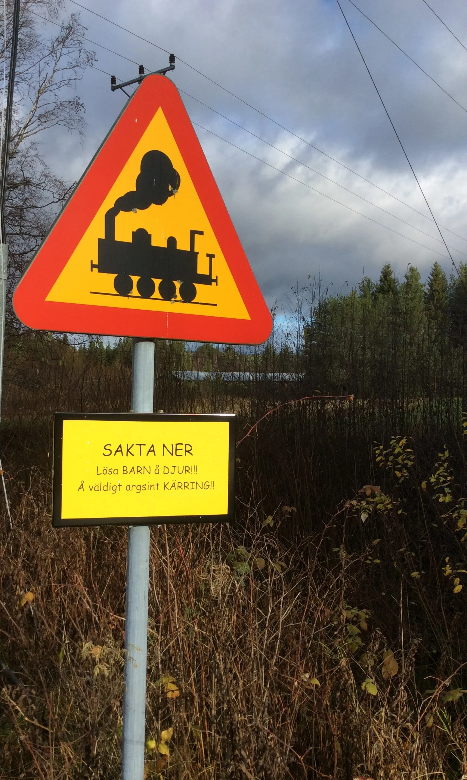 Skattungbyn, Dalarna: Nomadic Yogi