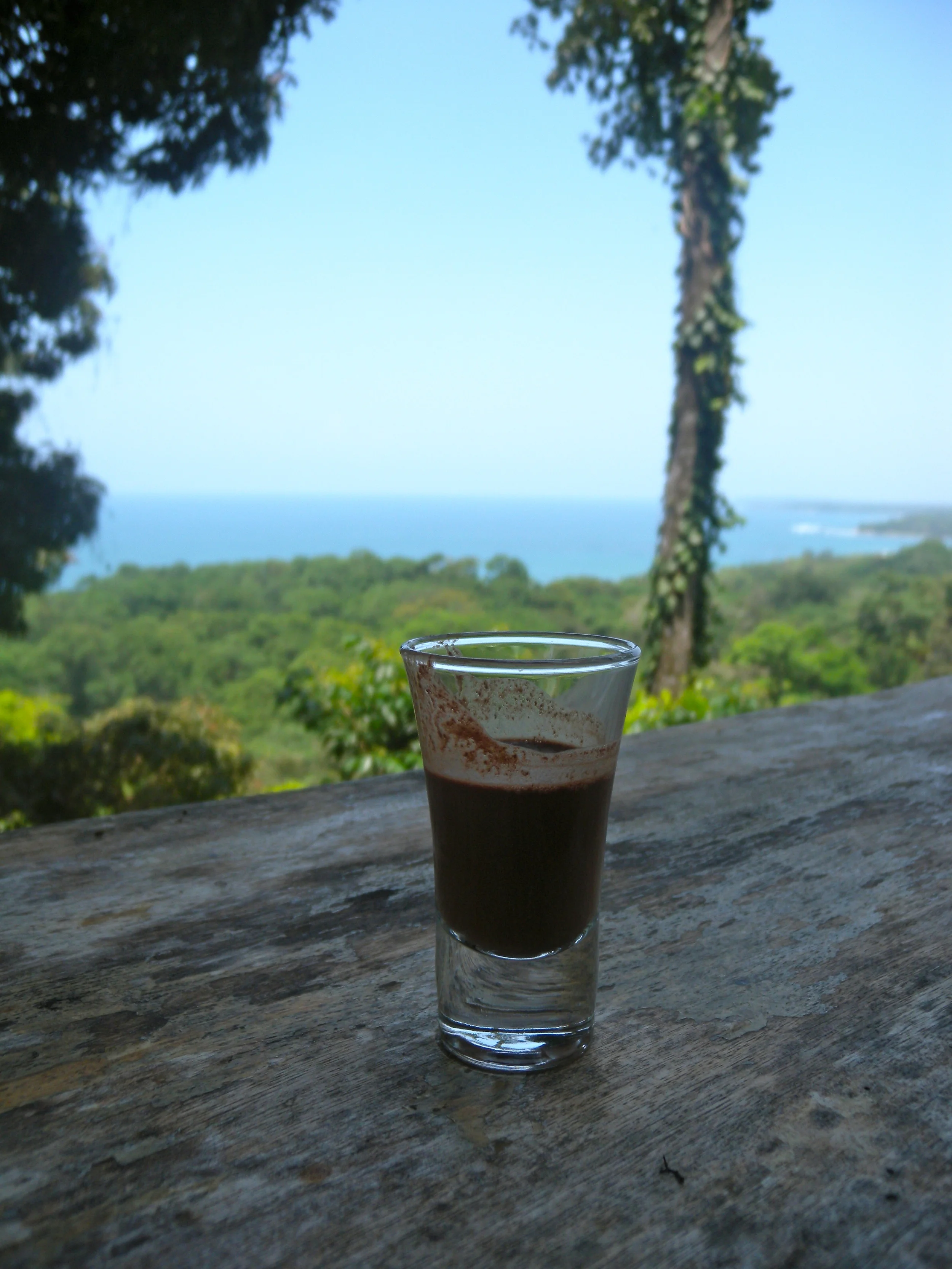 Chocolate Tasting Tour, CariBean's Puerto Viejo Costa Rica