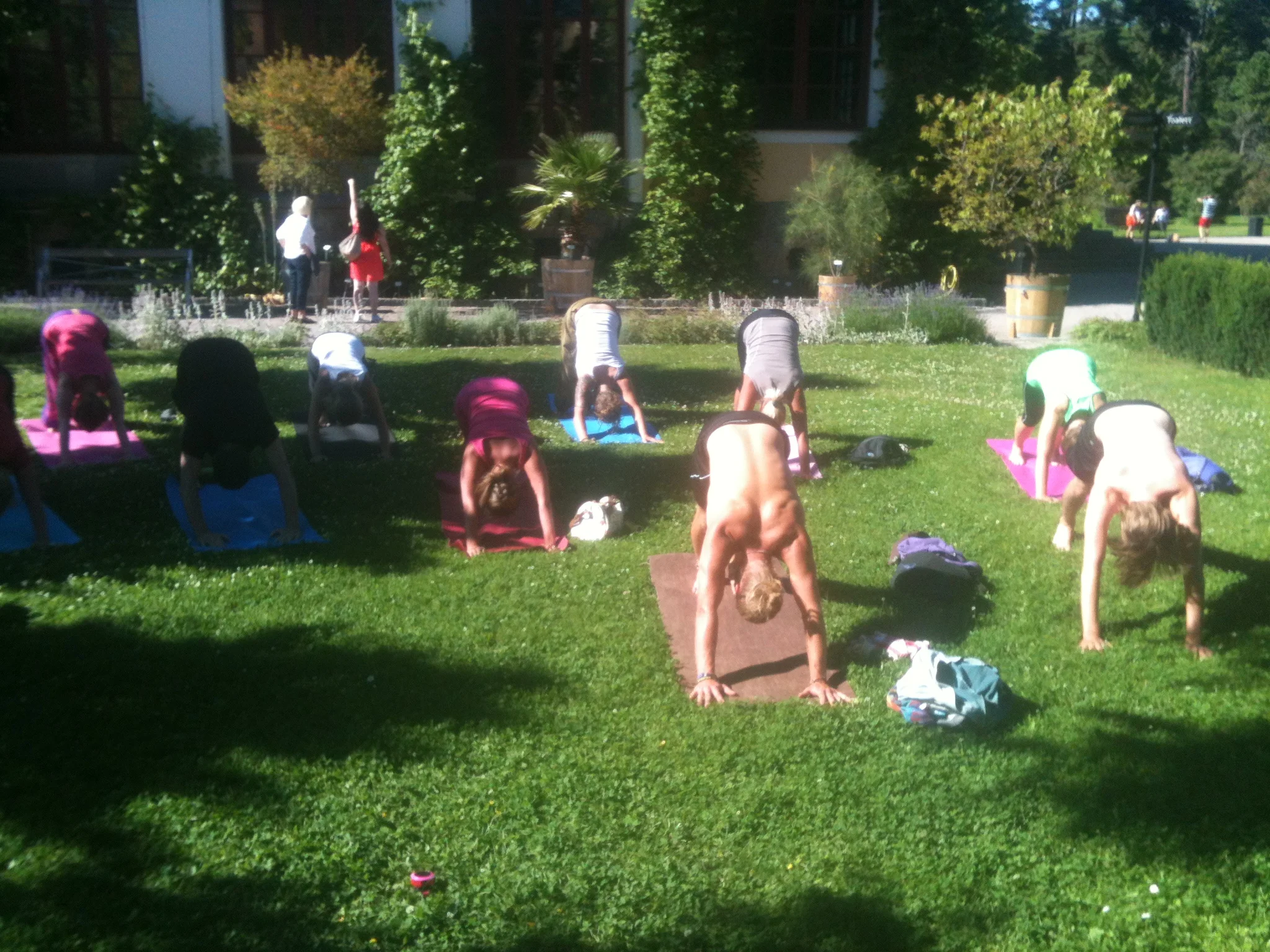 Park-Yoga i Växjö i sommar!