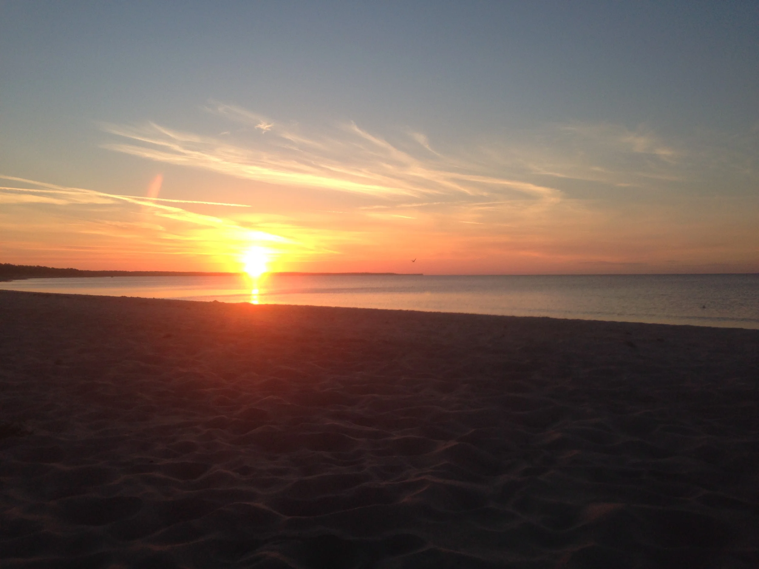 Festival summer: Journeying Öland