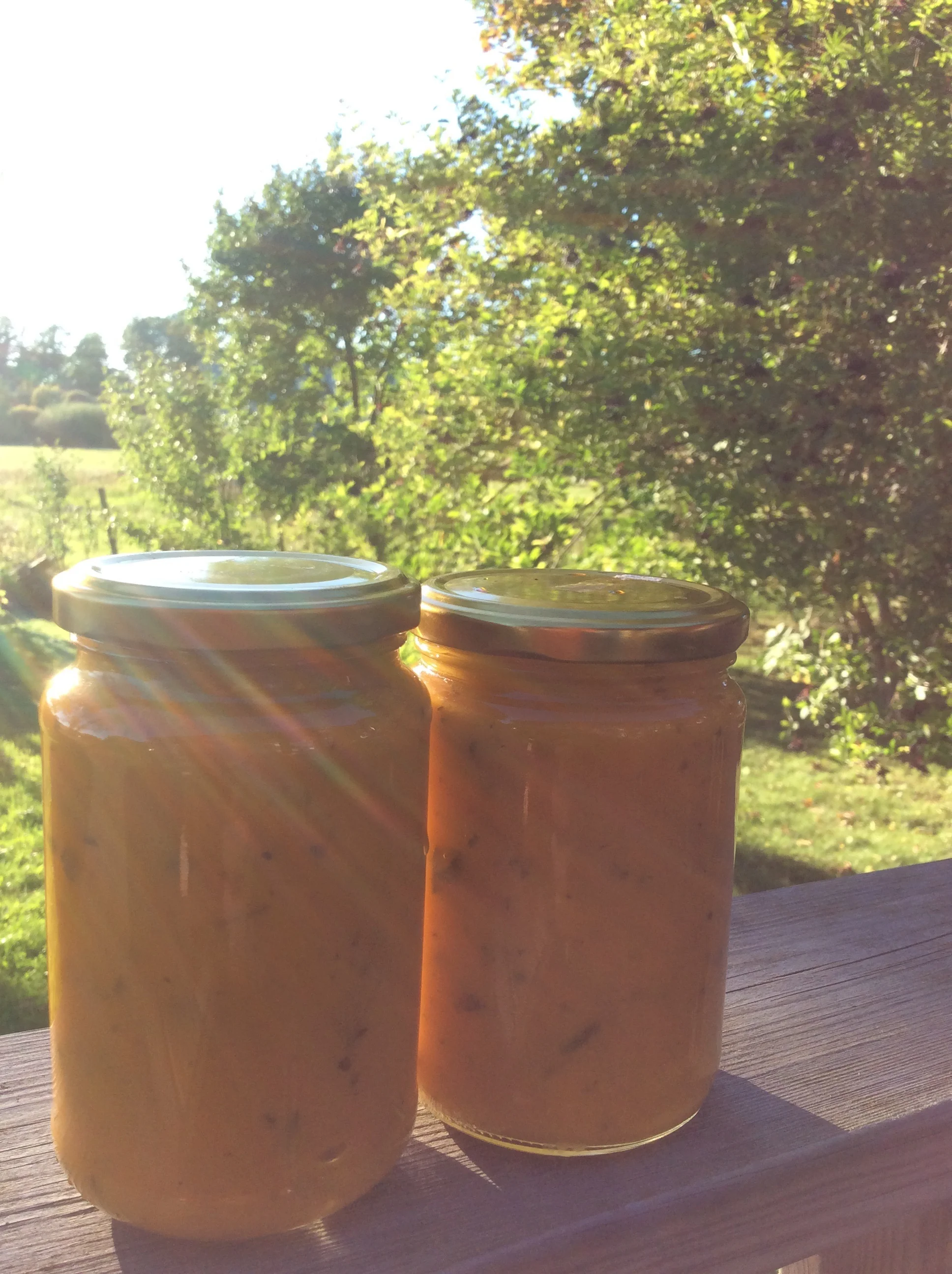 Golden Prana -livsenergi- i överflöd i sommarens tomatsås <3