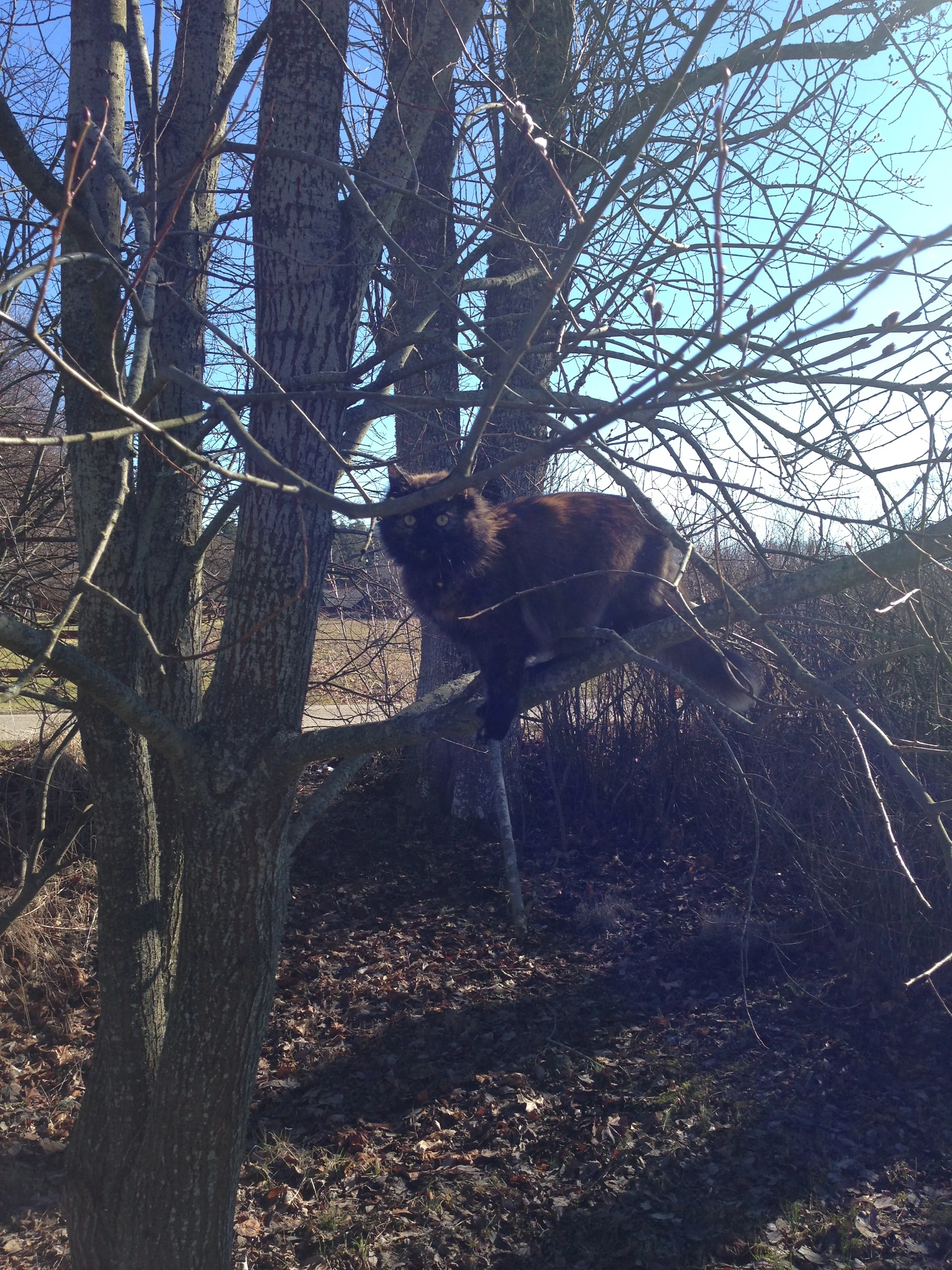 Energivindar i april 2017 & konsten av icke-görandet