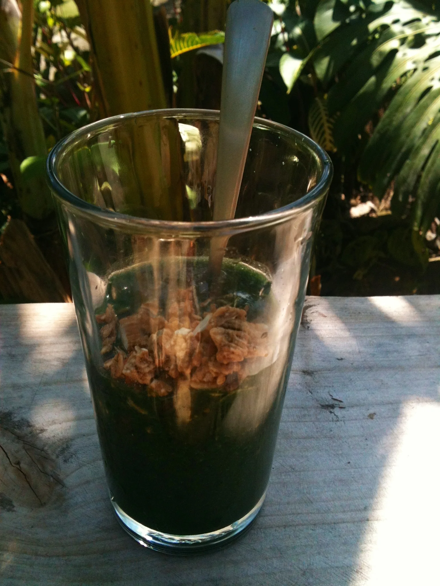 junlge green smoothie