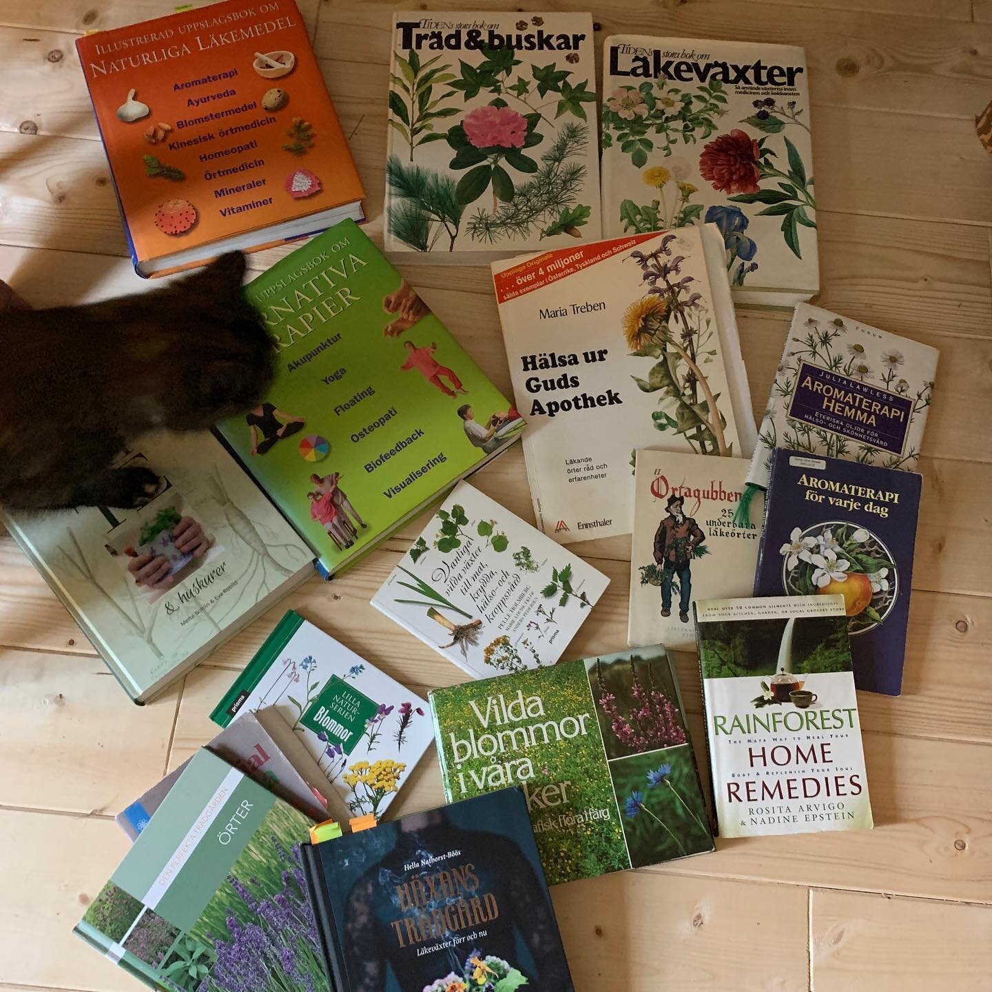 A few of the books from my herbal collection 😬 Basically, I own books and sacred objects 🙈 (as a nomad, that&rsquo;s always been a little tricky). 
The other day, I found a couple books at the rolling library (bokbussen) that I haven&rsquo;t seen b