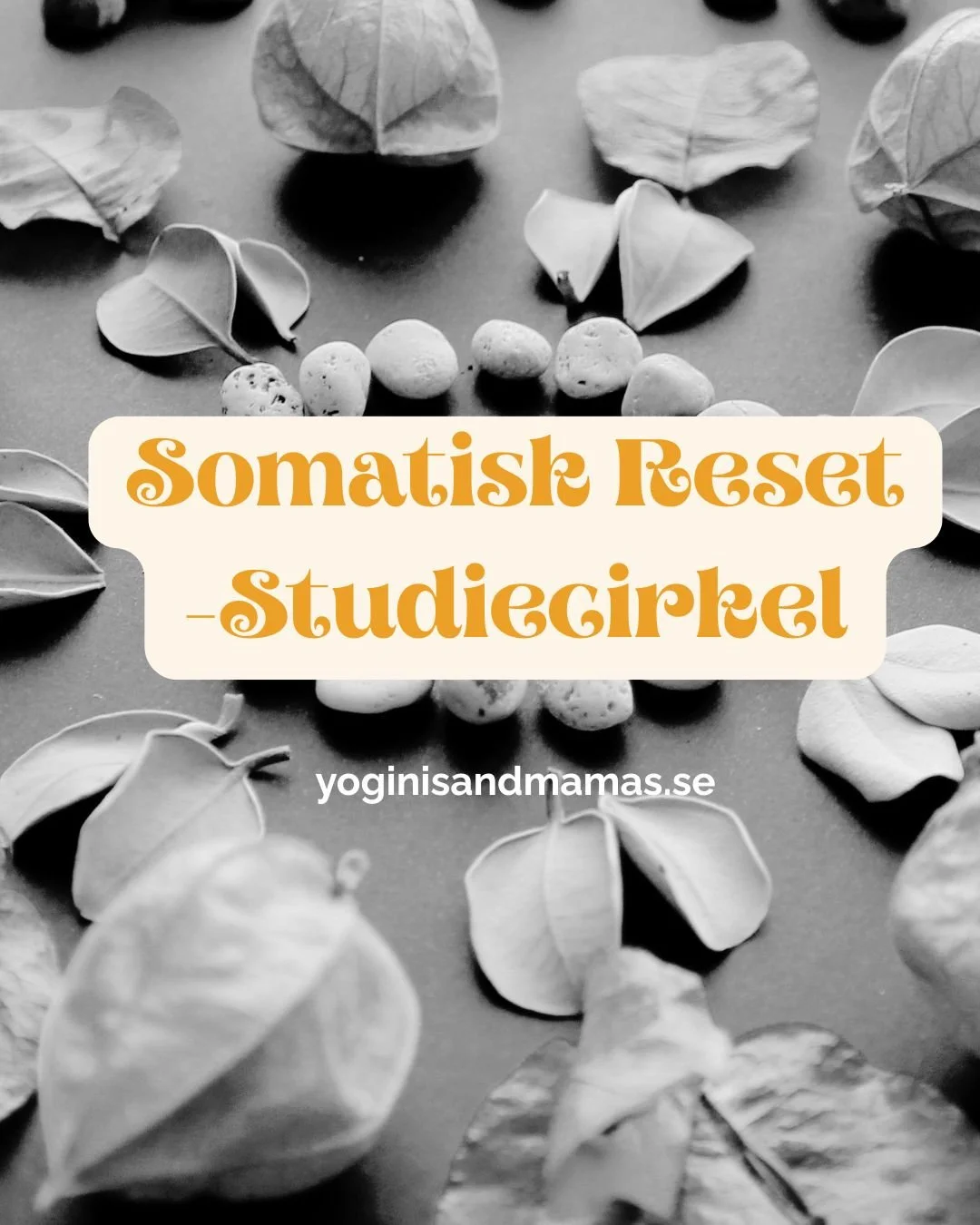 21 Dagars Somatisk Reset - Studiecirkel 