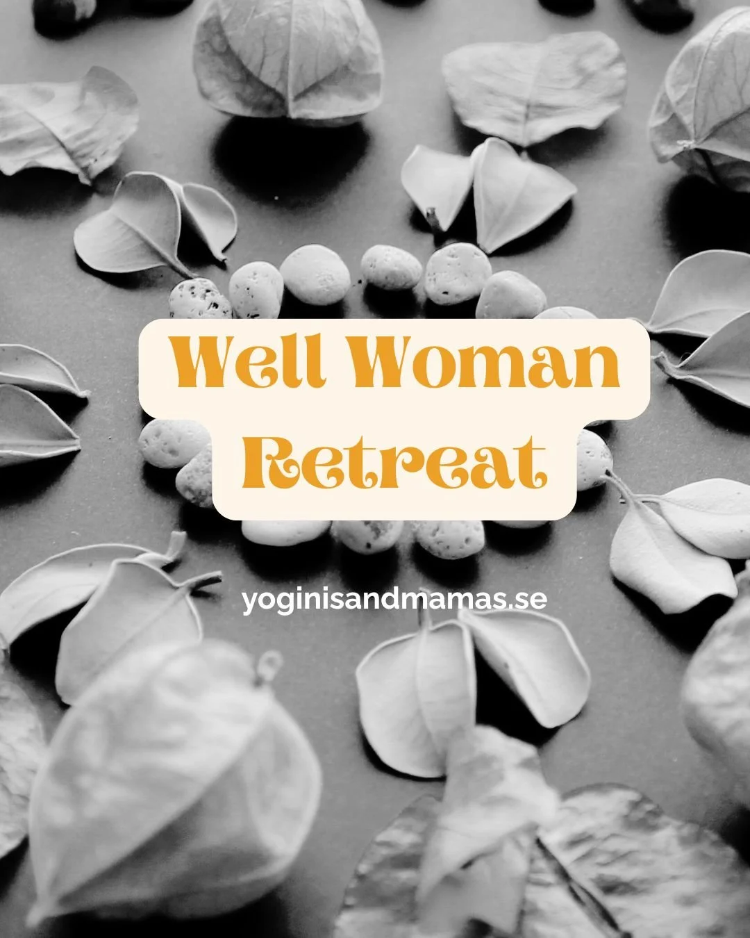 Well Woman Retreat