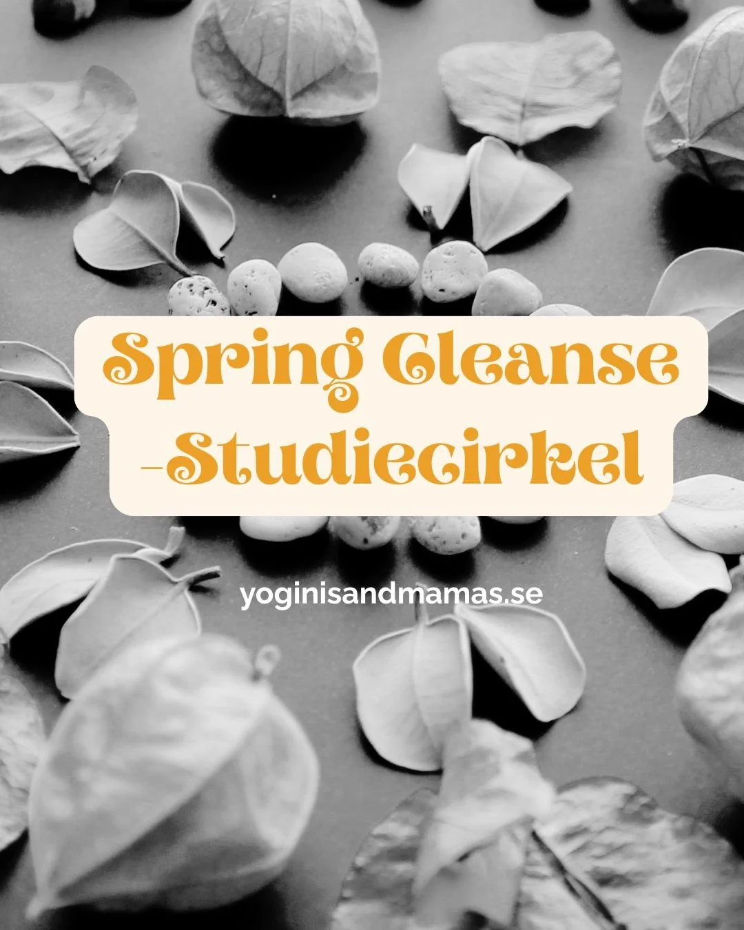 Spring Cleanse Studiecirkel för Kvinnor