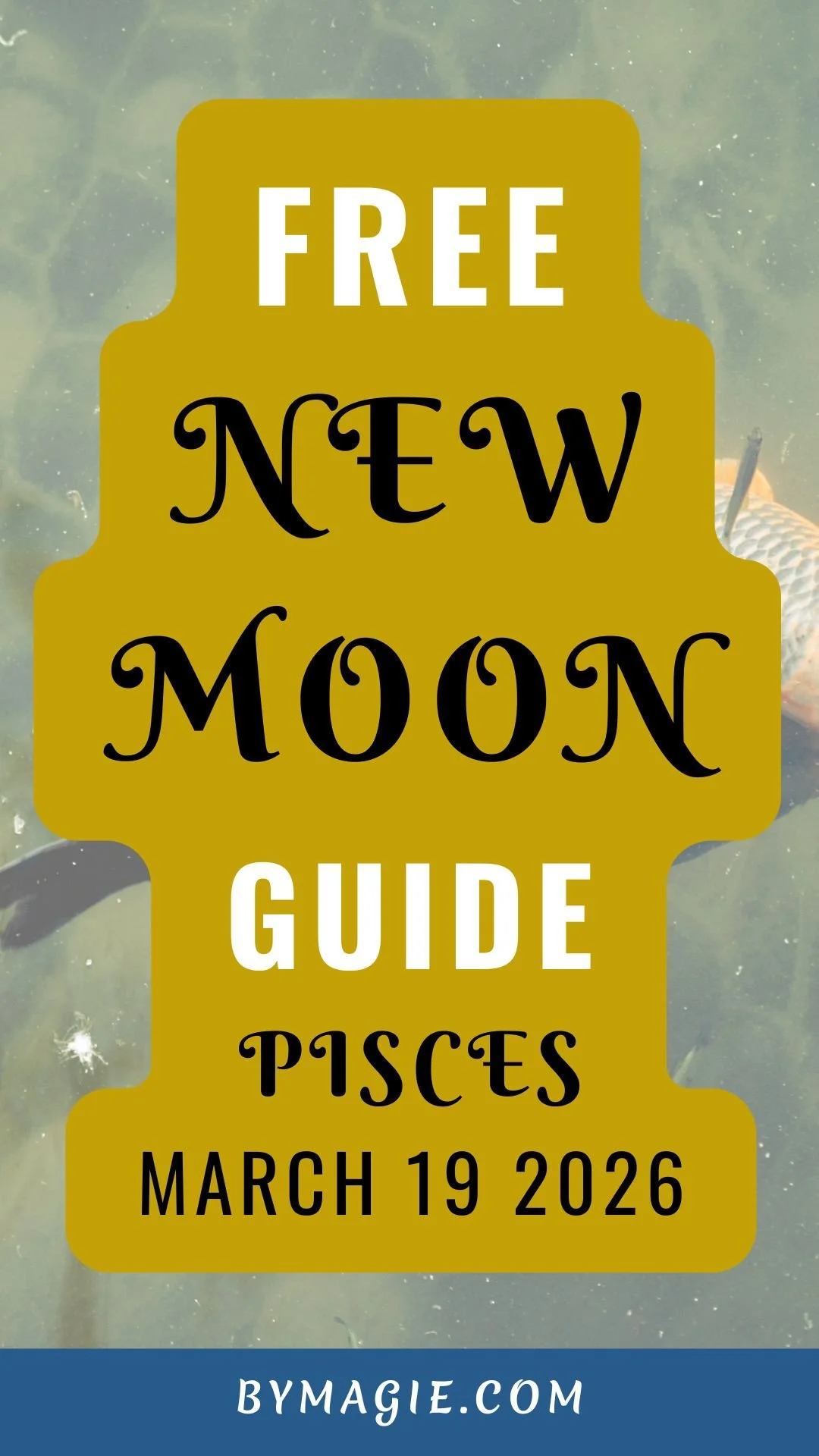 Pisces New Moon Guide, March 19, 2026 