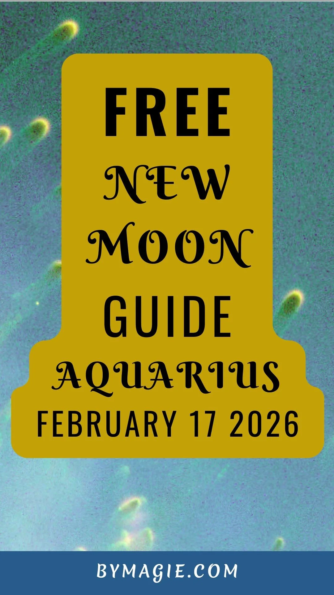 An Image describing the new moon in aquarius