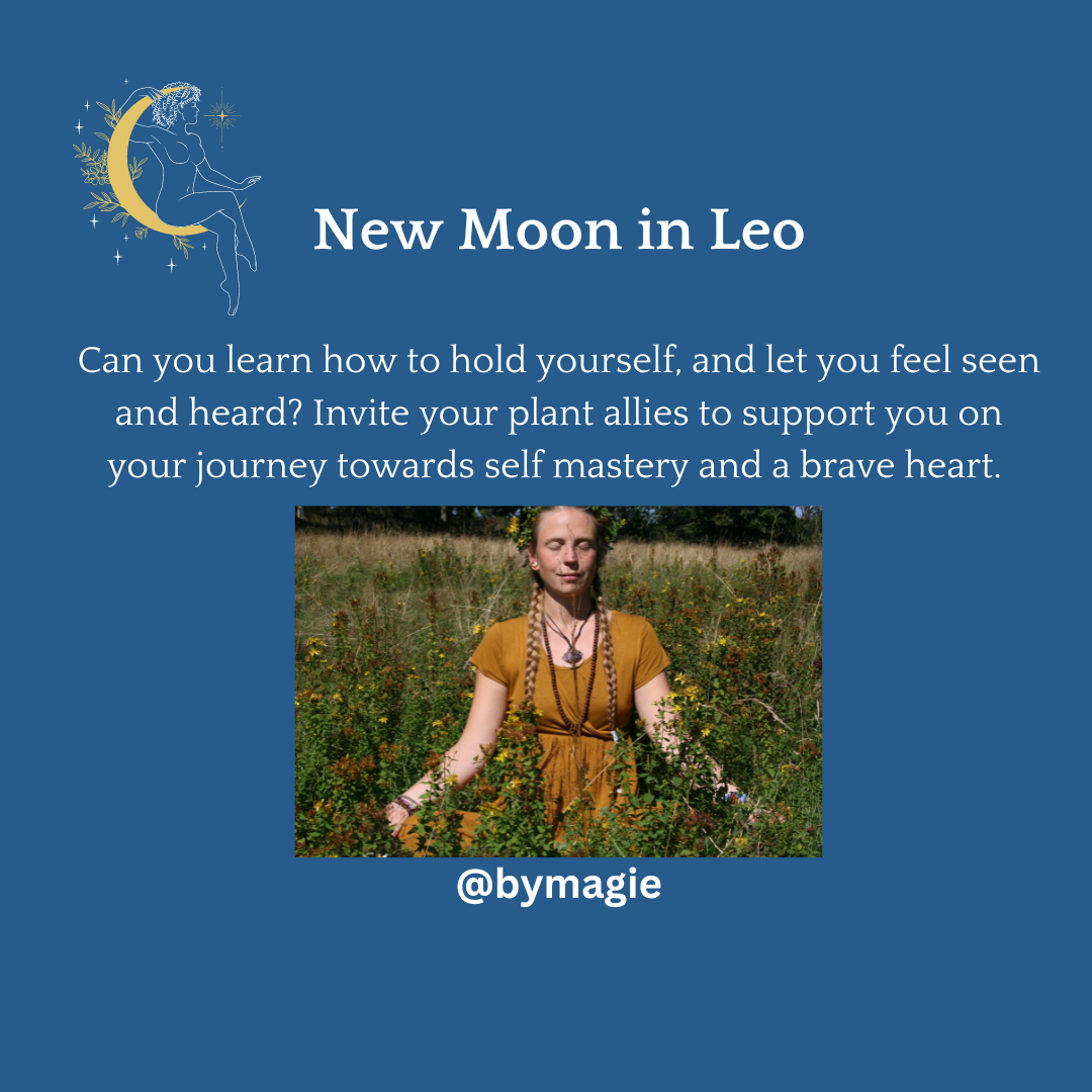 New Moon Energy Forecast Leo, August 16th 2023