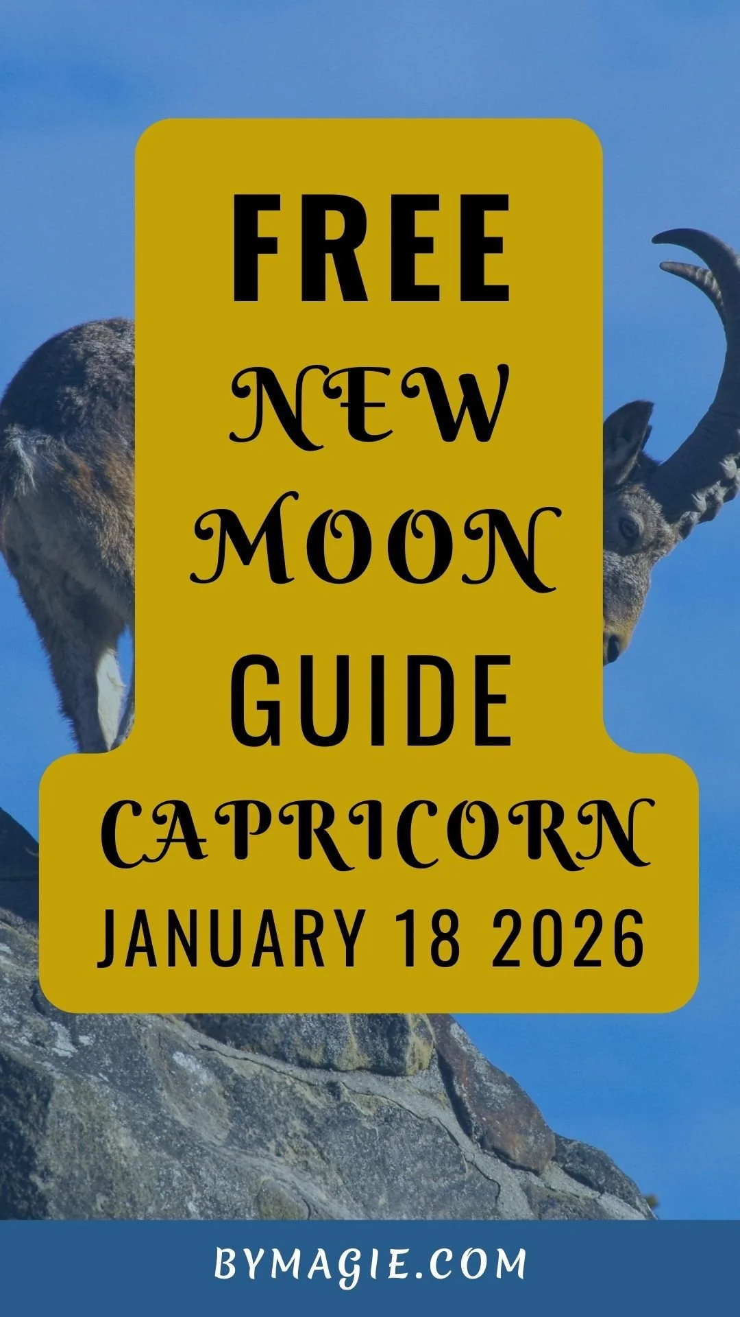 An image of a goat climbing on the edge for the new moon in Capricorn 2026