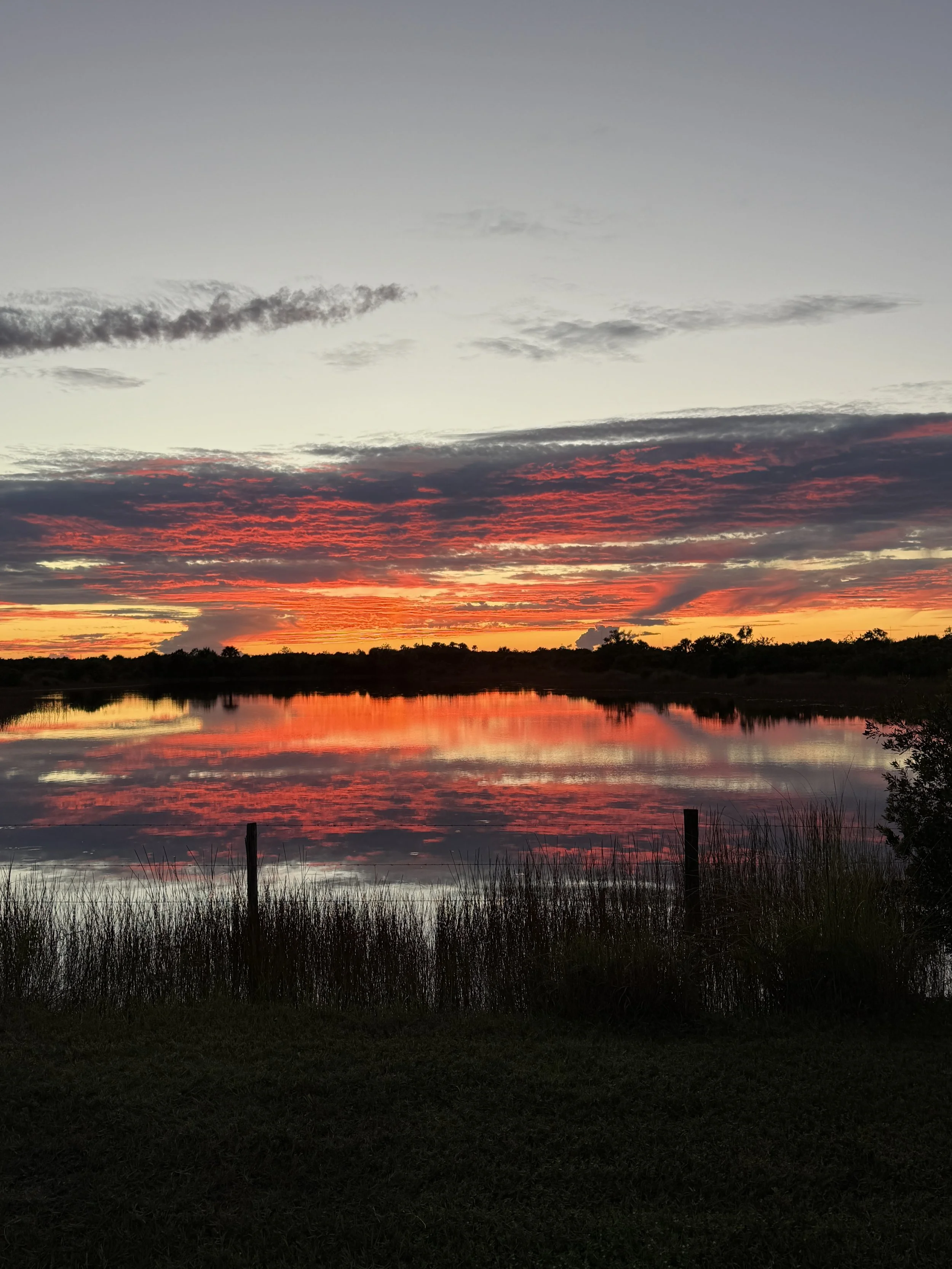 Grind For Life Organization Fall Update 2025