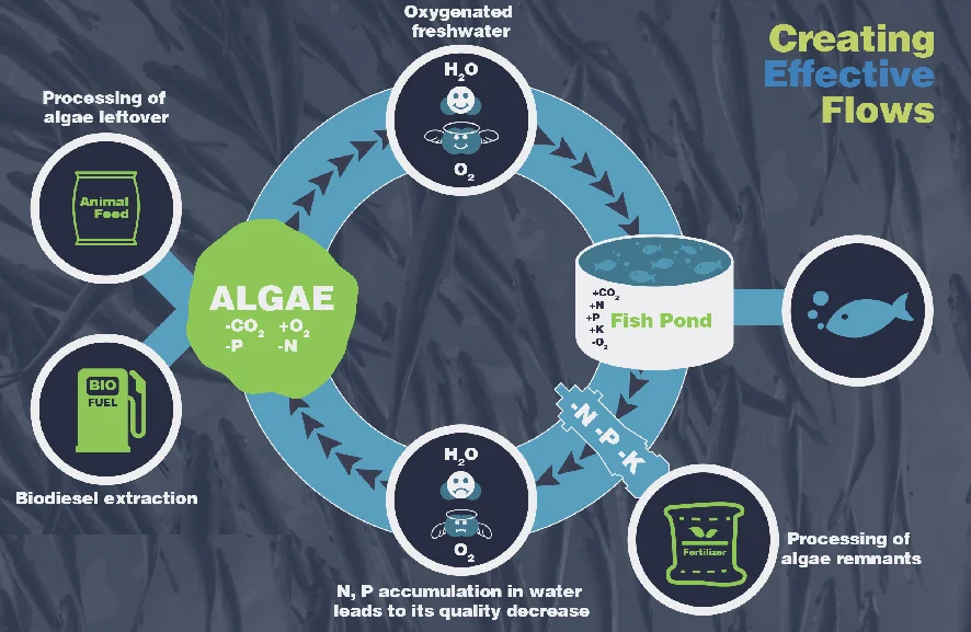 CarpeJur solution excerpt (image courtesy of Wege Prize).png