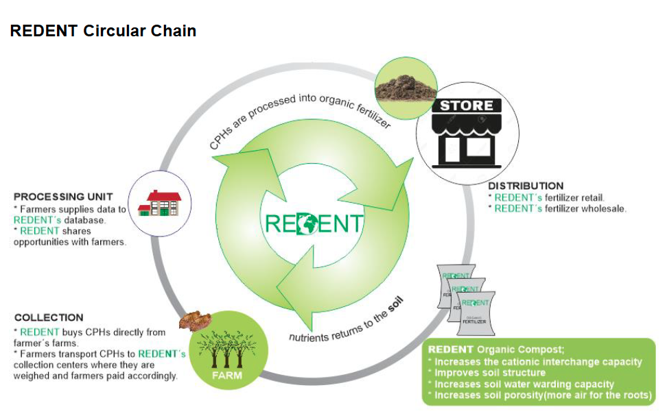 Redent solution excerpt