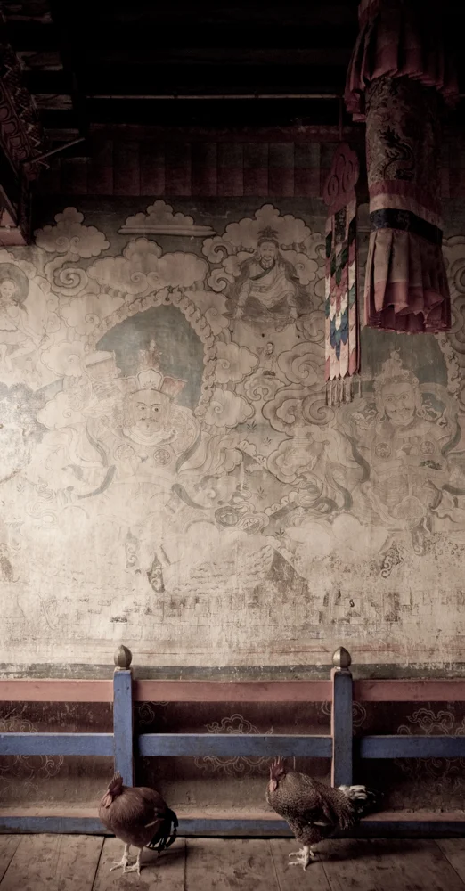 monastery roosters