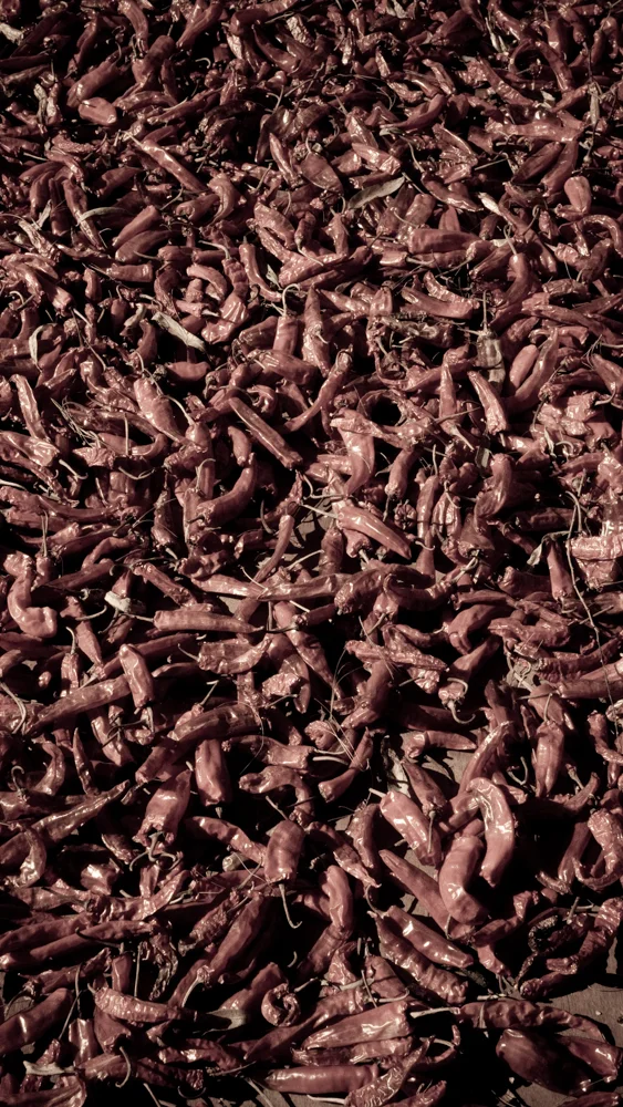the red chilli, local delicacy