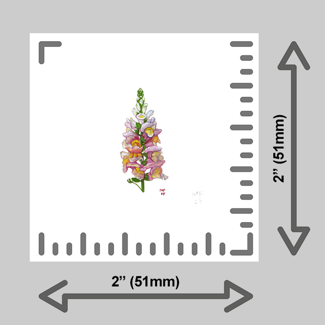 tiny-prints-25-snapdragon(ruler).png