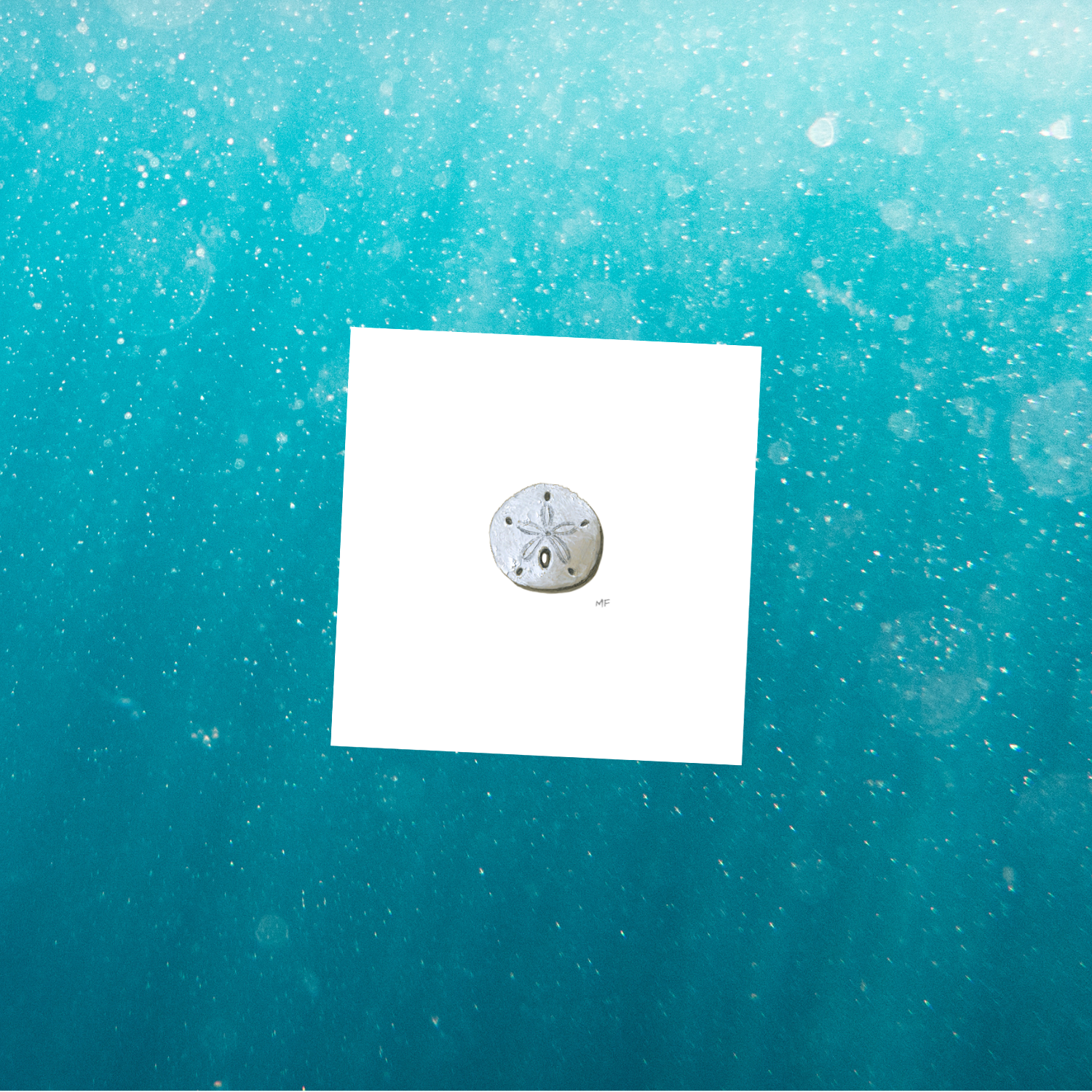 AQUATIC3-sand-dollar-mockup.png