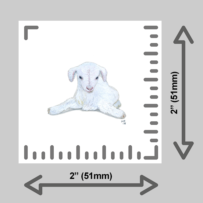 tiny-prints-25-baby-goat(kid)(ruler).png
