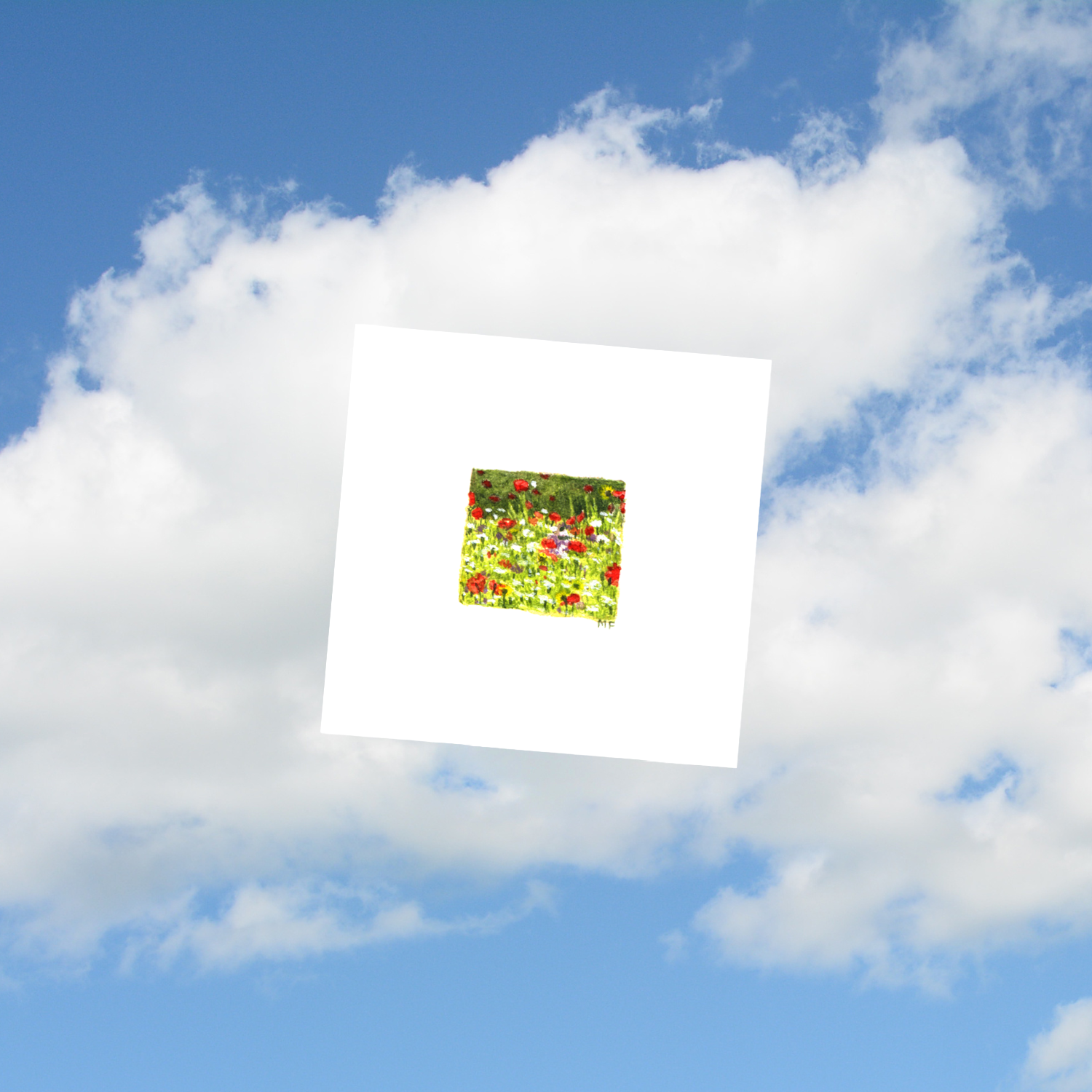 MIDWEST5-wildflowers-mockup.png