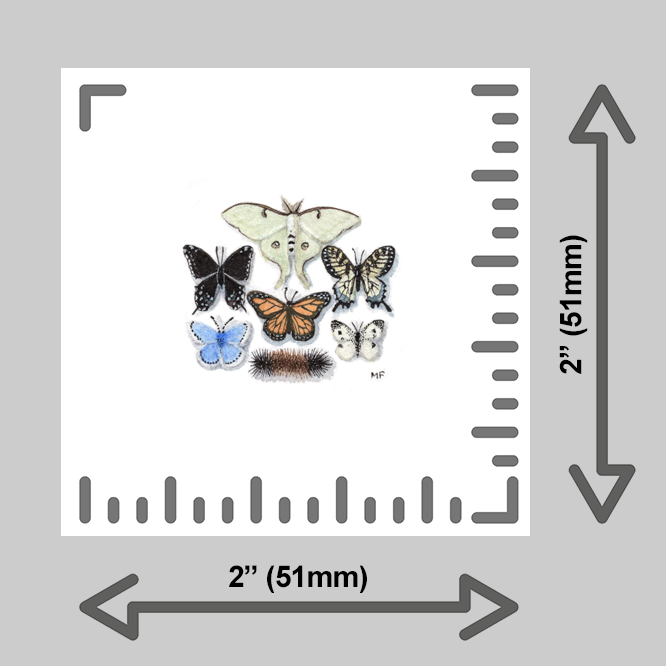 tiny-prints-25-butterfly-collection(ruler).png