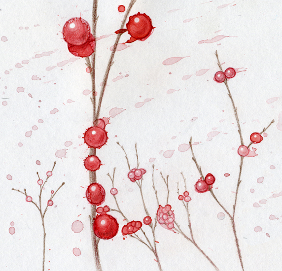 winter_berries.jpg