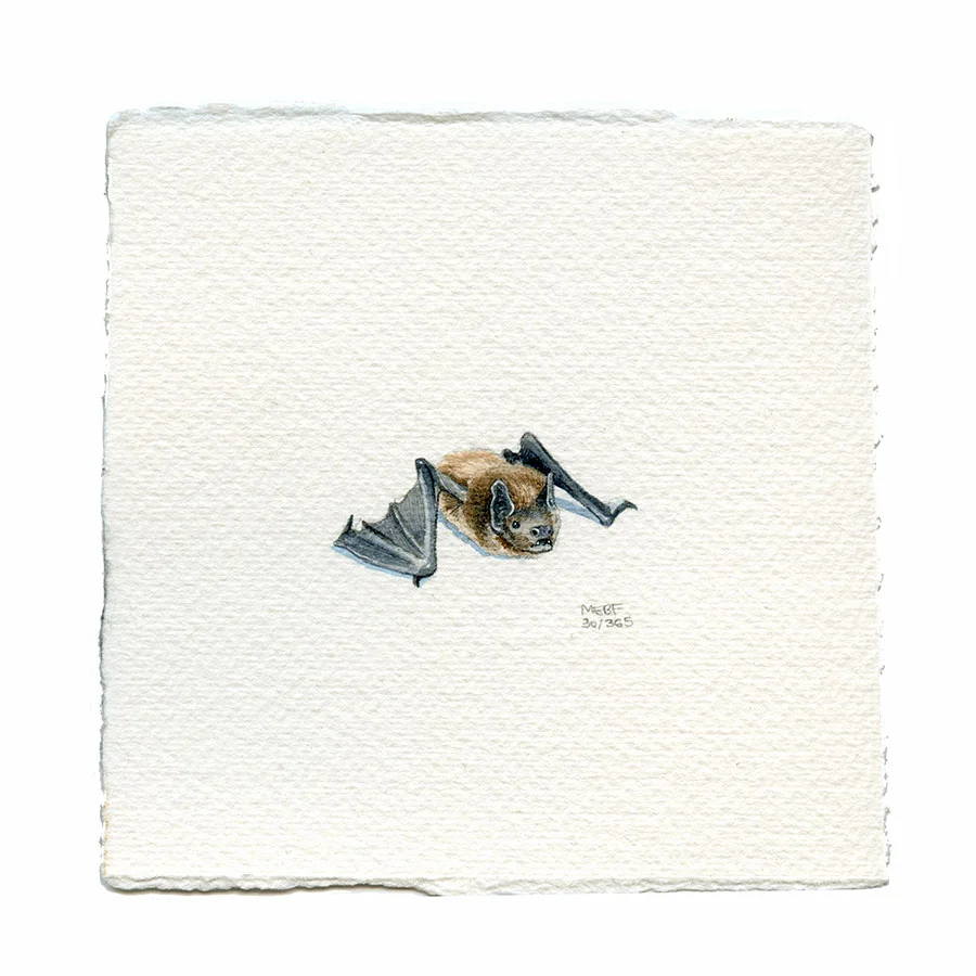 Suggested by Kirby | Watercolor