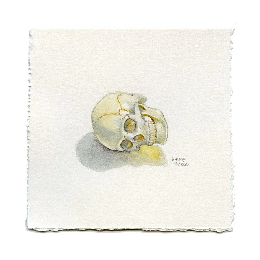 Suggested by Heather J. | Watercolor, verithin colored pencil