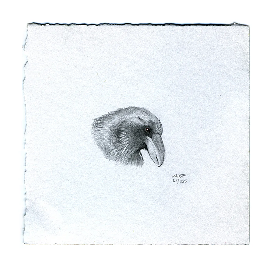 Suggested by Erin H. | Pencil