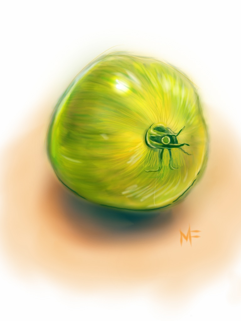 05_ipad_tomato.jpg